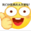 thomaszdxsn